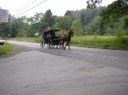 Amish buggy passes AS10