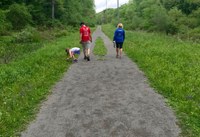 The Harmony Trail