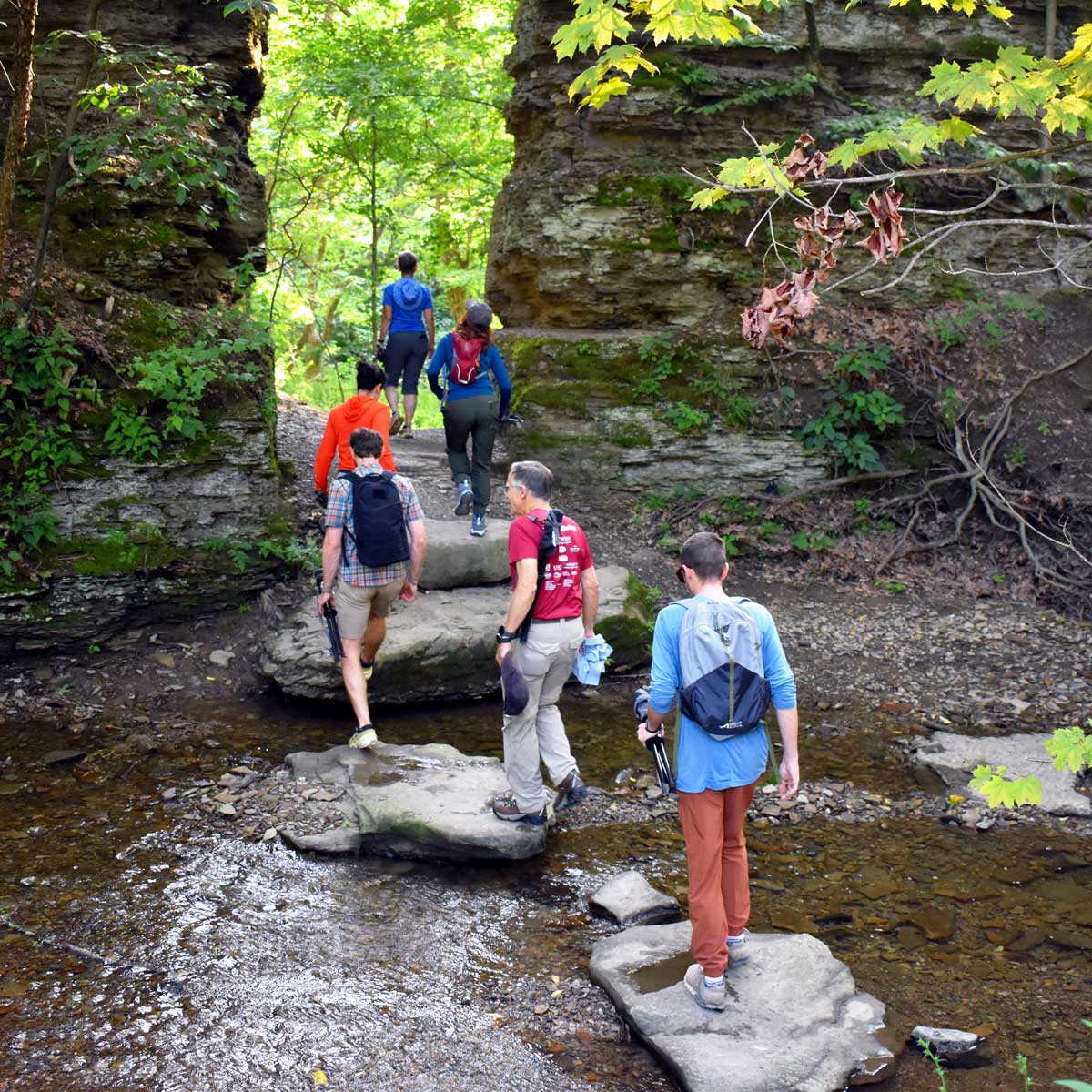 Crouse Run Forest Bathing group
