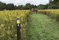 Expanded Trails in North Park