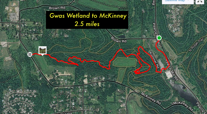 Gwas Wetland to McKinney.jpg