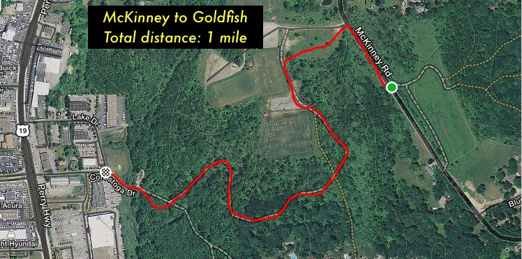 McKinney to Goldfish Map.jpg